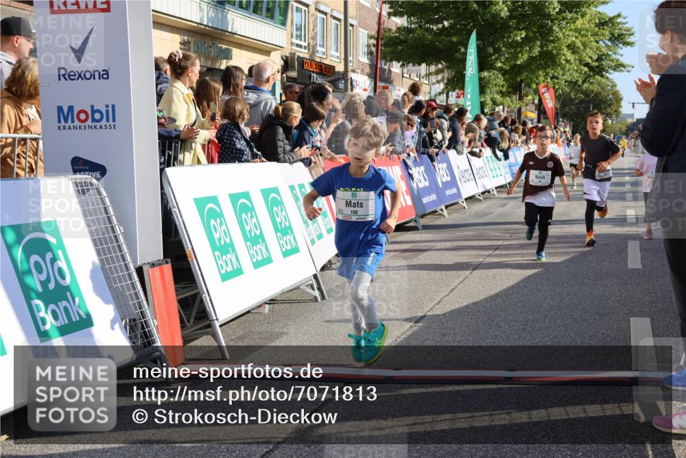 15.09.2024 - PSD Bank Halbmarathon Strokosch-Dieckow http://msf.ph/oto/7071813 15.09.2024 10:28:48 Ziel 26, 45, 89, 92, 162, 183, 184, 192, 243, 273, 305 meine-sportfotos.de