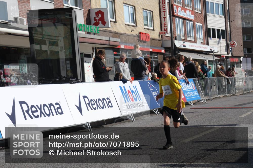 15.09.2024 - PSD Bank Halbmarathon Michael Strokosch http://msf.ph/oto/7071895 15.09.2024 10:28:48 Ziel 106, 107, 130, 137, 140, 162, 179, 205, 222, 235, 305 meine-sportfotos.de