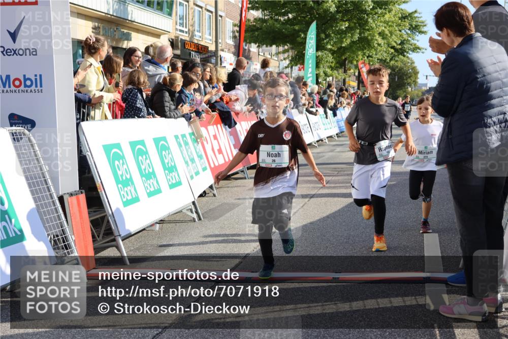 15.09.2024 - PSD Bank Halbmarathon Strokosch-Dieckow http://msf.ph/oto/7071918 15.09.2024 10:28:50 Ziel 26, 45, 92, 162, 183, 184, 192, 205, 235, 243, 273, 305 meine-sportfotos.de