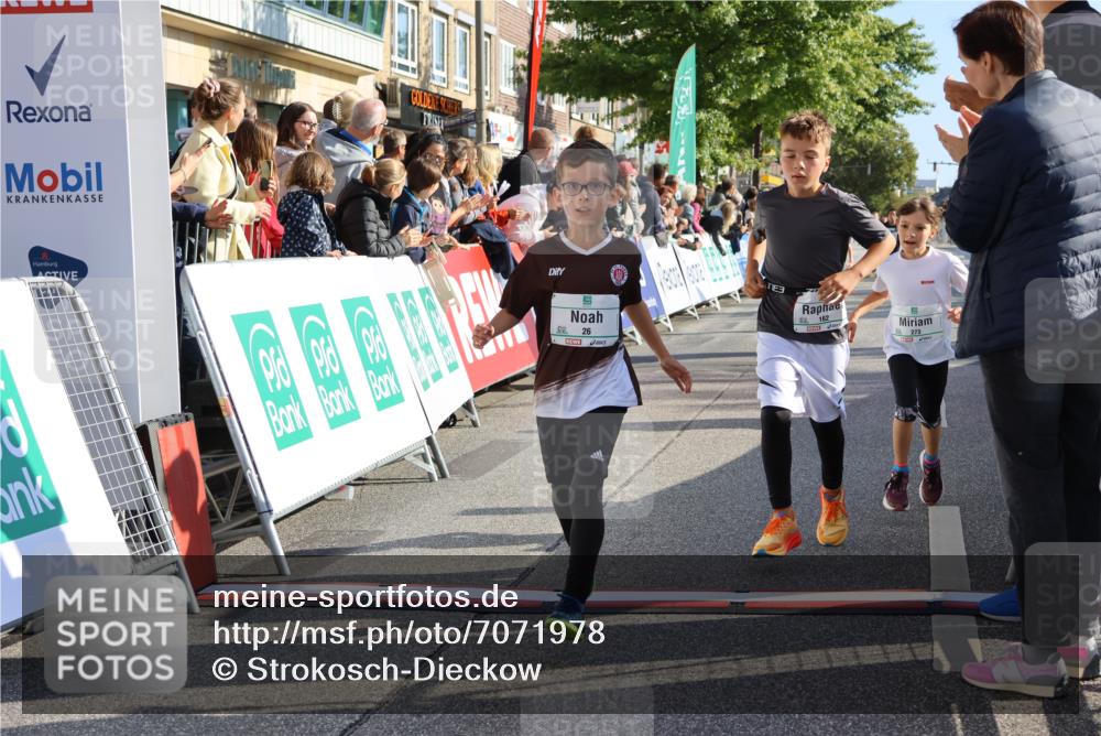 15.09.2024 - PSD Bank Halbmarathon Strokosch-Dieckow http://msf.ph/oto/7071978 15.09.2024 10:28:50 Ziel 26, 45, 92, 162, 183, 184, 192, 205, 235, 243, 273, 305 meine-sportfotos.de