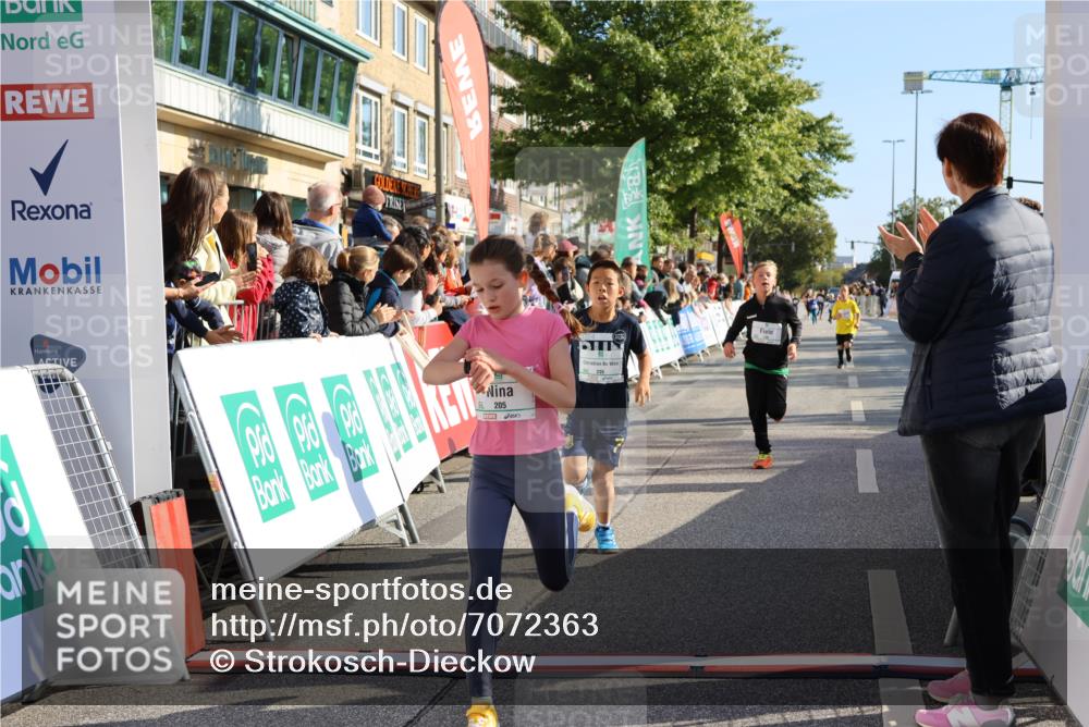15.09.2024 - PSD Bank Halbmarathon Strokosch-Dieckow http://msf.ph/oto/7072363 15.09.2024 10:28:58 Ziel 26, 130, 140, 162, 184, 192, 205, 235, 273, 305 meine-sportfotos.de