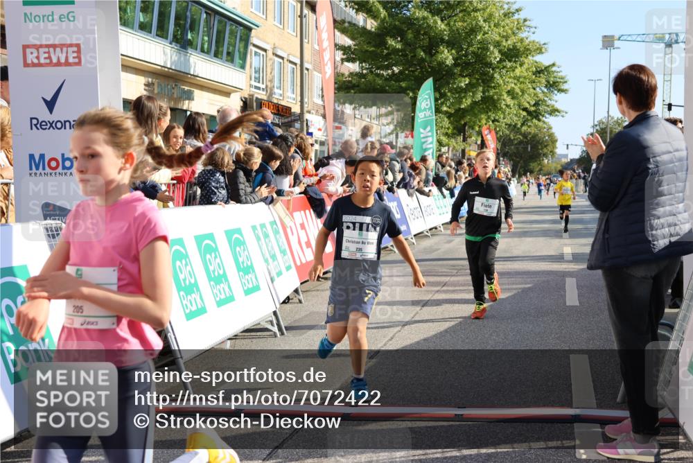 15.09.2024 - PSD Bank Halbmarathon Strokosch-Dieckow http://msf.ph/oto/7072422 15.09.2024 10:28:59 Ziel 26, 130, 140, 162, 184, 192, 205, 235, 273, 305 meine-sportfotos.de