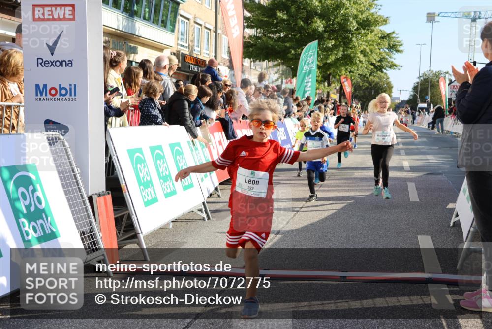 15.09.2024 - PSD Bank Halbmarathon Strokosch-Dieckow http://msf.ph/oto/7072775 15.09.2024 10:29:12 Ziel 106, 107, 137, 140, 154, 170, 179, 189, 222, 231, 288, 292 meine-sportfotos.de