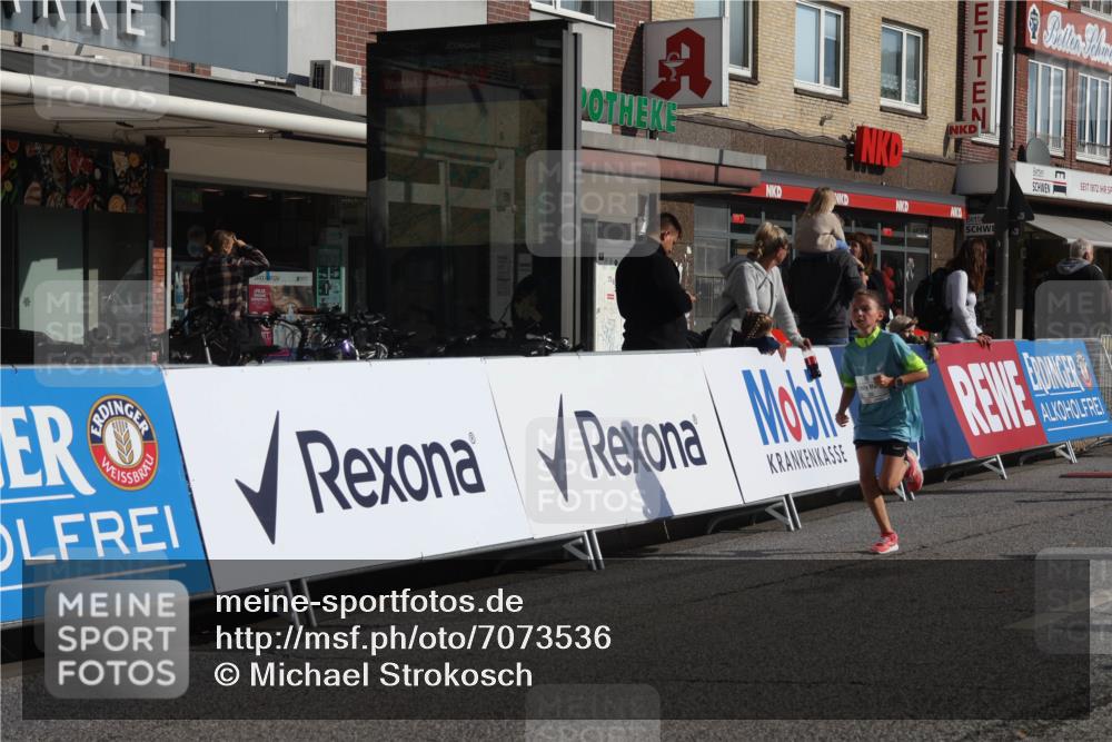 15.09.2024 - PSD Bank Halbmarathon Michael Strokosch http://msf.ph/oto/7073536 15.09.2024 10:31:42 Ziel 11, 201, 202, 223, 250, 276, 299 meine-sportfotos.de