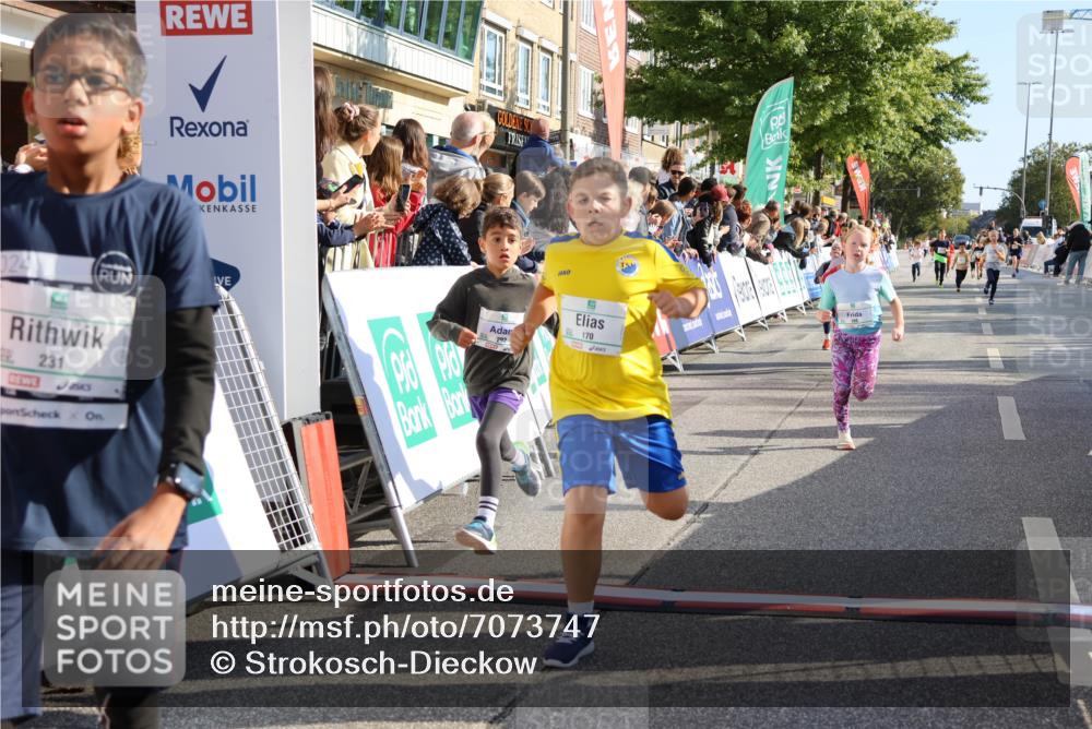 15.09.2024 - PSD Bank Halbmarathon Strokosch-Dieckow http://msf.ph/oto/7073747 15.09.2024 10:29:19 Ziel 5, 106, 107, 137, 150, 154, 170, 179, 189, 222, 231, 271, 288, 292, 297 meine-sportfotos.de