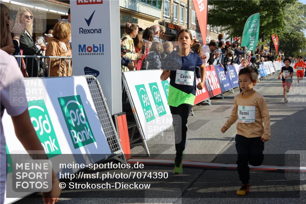 15.09.2024 - PSD Bank Halbmarathon Strokosch-Dieckow http://msf.ph/oto/7074390 15.09.2024 10:29:29 Ziel 5, 12, 47, 70, 150, 170, 180, 194, 231, 244, 254, 255, 271, 288, 292, 297 meine-sportfotos.de