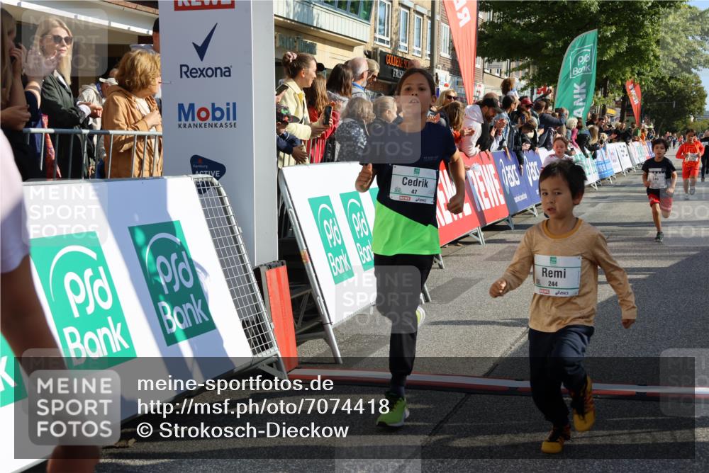 15.09.2024 - PSD Bank Halbmarathon Strokosch-Dieckow http://msf.ph/oto/7074418 15.09.2024 10:29:29 Ziel 5, 12, 47, 70, 150, 170, 180, 194, 231, 244, 254, 255, 271, 288, 292, 297 meine-sportfotos.de