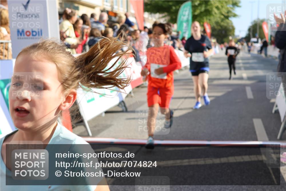15.09.2024 - PSD Bank Halbmarathon Strokosch-Dieckow http://msf.ph/oto/7074824 15.09.2024 10:29:34 Ziel 5, 12, 47, 70, 180, 194, 244, 254, 255, 271, 297 meine-sportfotos.de