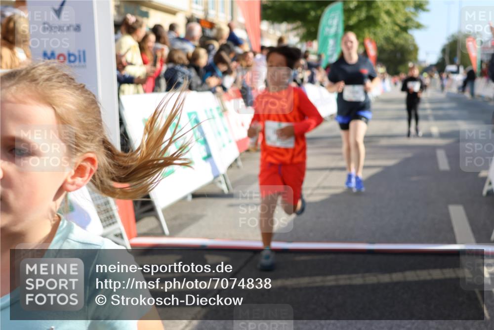 15.09.2024 - PSD Bank Halbmarathon Strokosch-Dieckow http://msf.ph/oto/7074838 15.09.2024 10:29:34 Ziel 5, 12, 47, 70, 180, 194, 244, 254, 255, 271, 297 meine-sportfotos.de