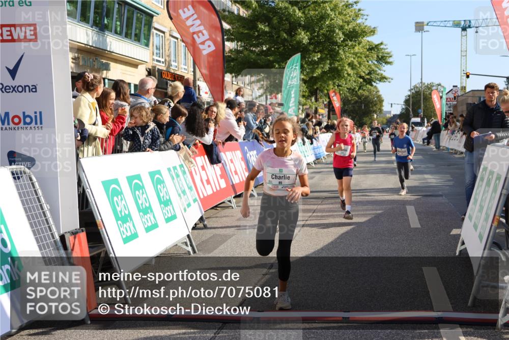 15.09.2024 - PSD Bank Halbmarathon Strokosch-Dieckow http://msf.ph/oto/7075081 15.09.2024 10:29:44 Ziel 70, 80, 85, 111, 112, 120, 194, 254, 255 meine-sportfotos.de