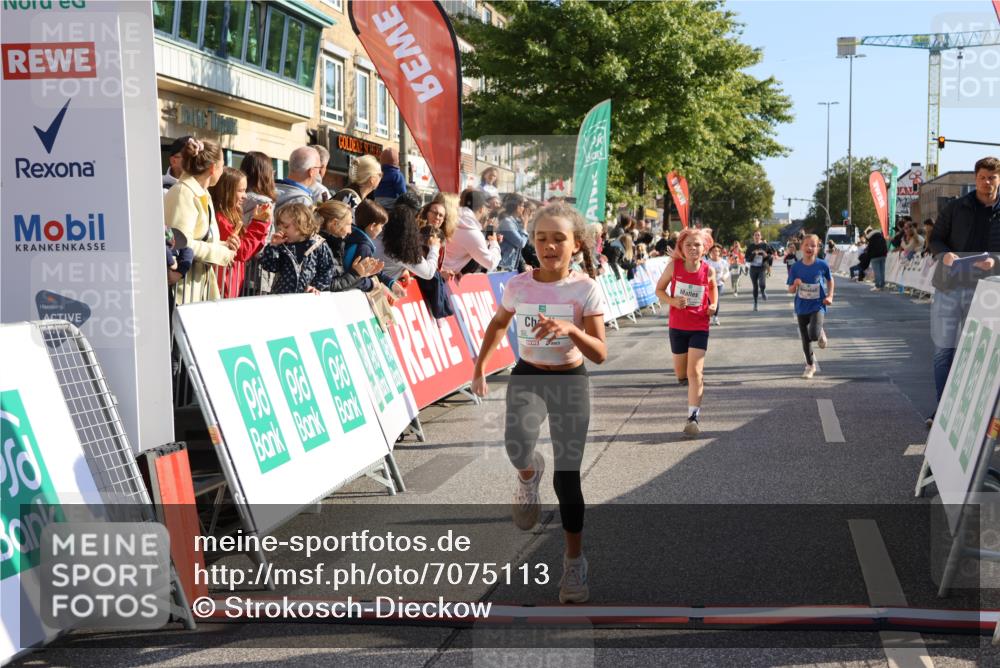 15.09.2024 - PSD Bank Halbmarathon Strokosch-Dieckow http://msf.ph/oto/7075113 15.09.2024 10:29:44 Ziel 70, 80, 85, 111, 112, 120, 194, 254, 255 meine-sportfotos.de