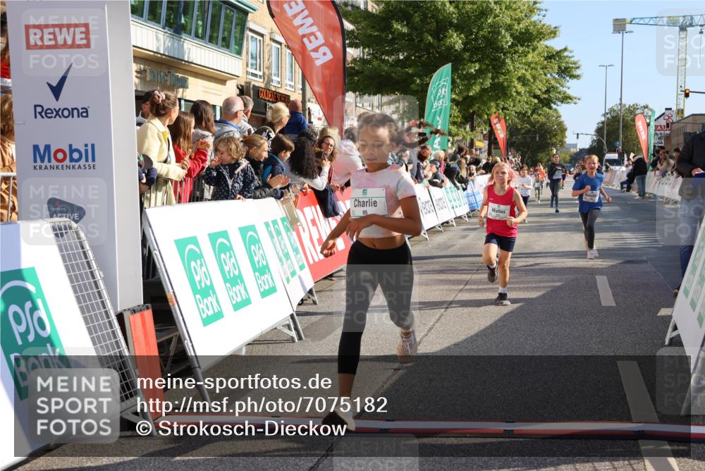 15.09.2024 - PSD Bank Halbmarathon Strokosch-Dieckow http://msf.ph/oto/7075182 15.09.2024 10:29:44 Ziel 70, 80, 85, 111, 112, 120, 194, 254, 255 meine-sportfotos.de