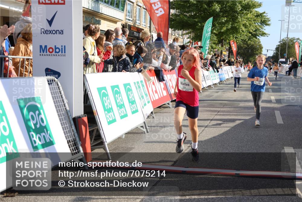15.09.2024 - PSD Bank Halbmarathon Strokosch-Dieckow http://msf.ph/oto/7075214 15.09.2024 10:29:46 Ziel 46, 74, 80, 85, 111, 112, 120, 194, 254, 255 meine-sportfotos.de