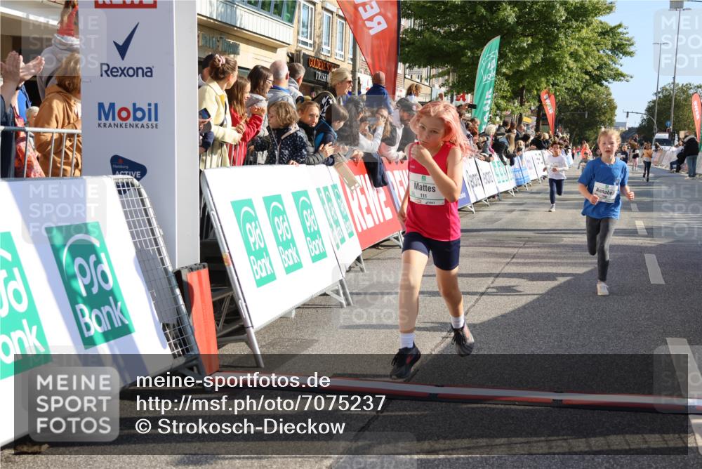 15.09.2024 - PSD Bank Halbmarathon Strokosch-Dieckow http://msf.ph/oto/7075237 15.09.2024 10:29:46 Ziel 46, 74, 80, 85, 111, 112, 120, 194, 254, 255 meine-sportfotos.de
