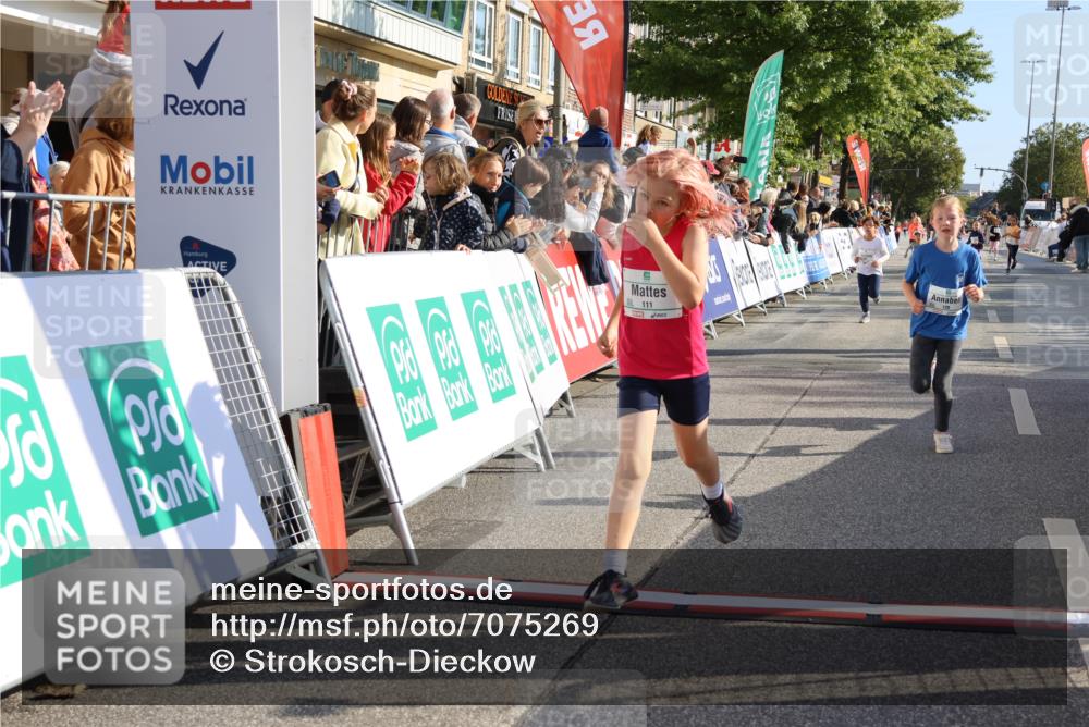 15.09.2024 - PSD Bank Halbmarathon Strokosch-Dieckow http://msf.ph/oto/7075269 15.09.2024 10:29:46 Ziel 46, 74, 80, 85, 111, 112, 120, 194, 254, 255 meine-sportfotos.de