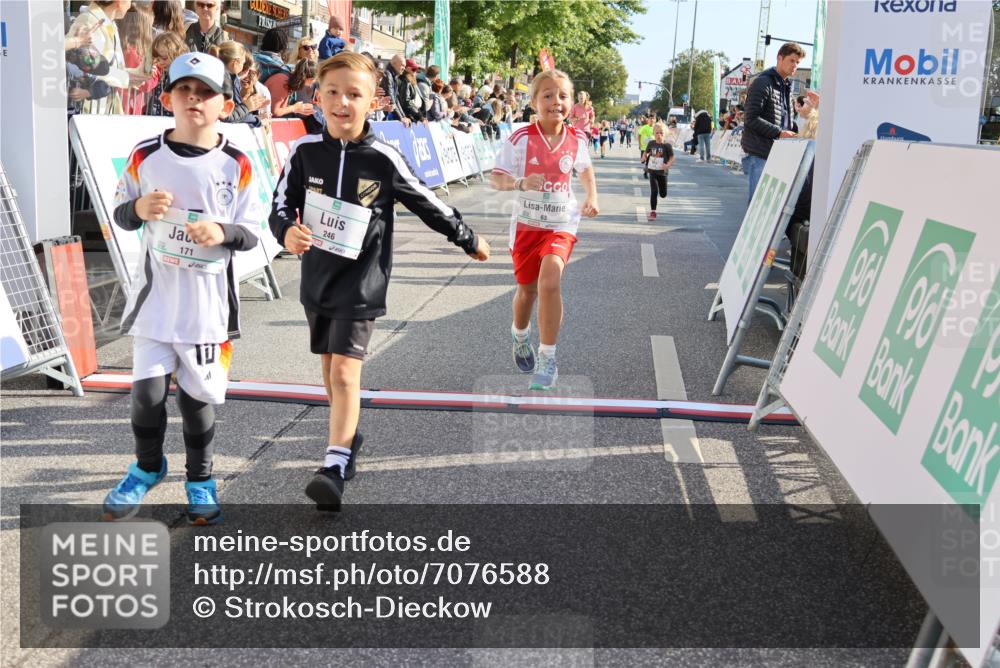 15.09.2024 - PSD Bank Halbmarathon Strokosch-Dieckow http://msf.ph/oto/7076588 15.09.2024 10:30:08 Ziel 3, 15, 60, 63, 127, 156, 164, 168, 171, 185, 218, 225, 246, 264, 286 meine-sportfotos.de