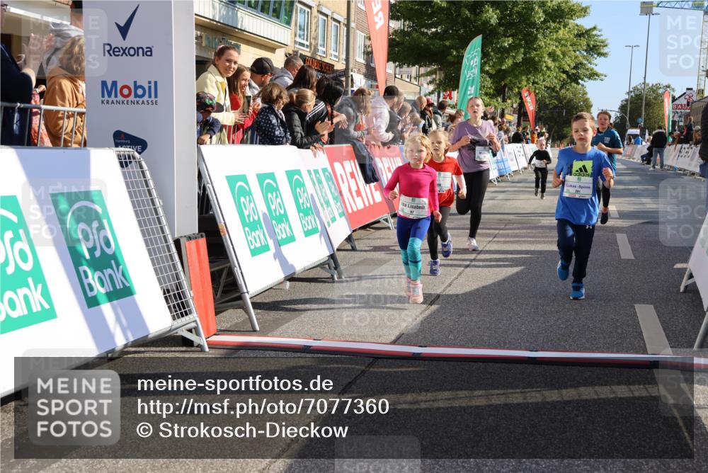 15.09.2024 - PSD Bank Halbmarathon Strokosch-Dieckow http://msf.ph/oto/7077360 15.09.2024 10:30:21 Ziel 3, 32, 97, 127, 129, 156, 218, 252, 264, 281, 289, 306 meine-sportfotos.de