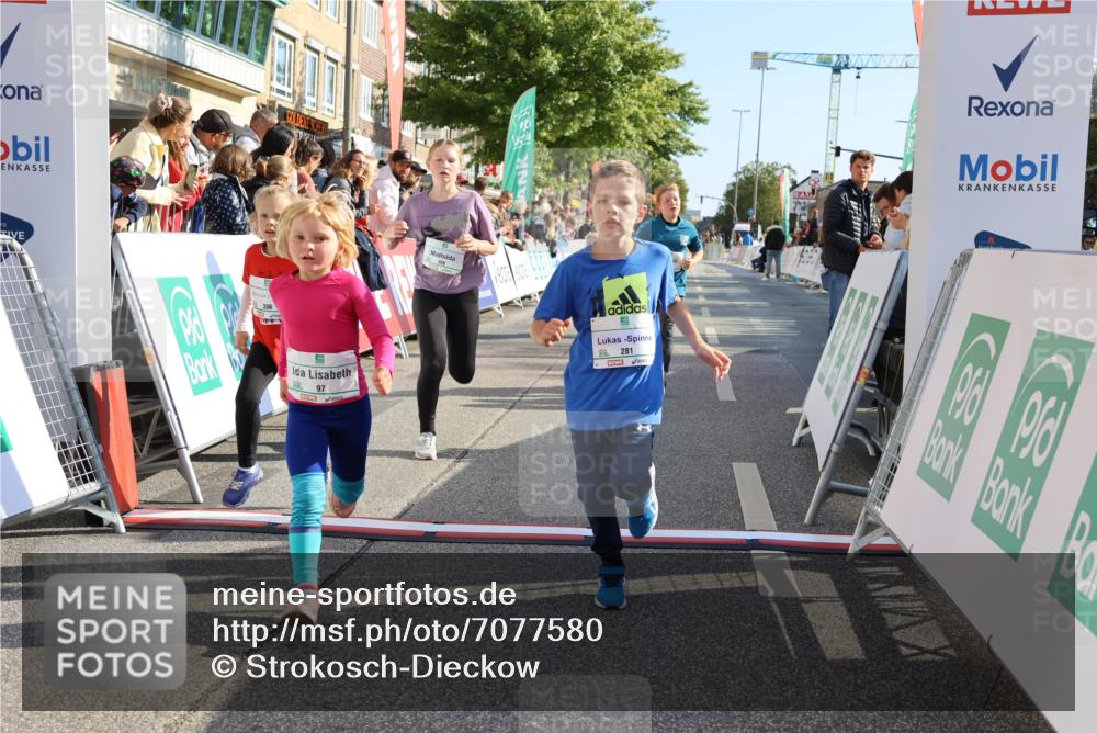 15.09.2024 - PSD Bank Halbmarathon Strokosch-Dieckow http://msf.ph/oto/7077580 15.09.2024 10:30:22 Ziel 32, 97, 127, 129, 156, 218, 252, 264, 281, 289, 306 meine-sportfotos.de