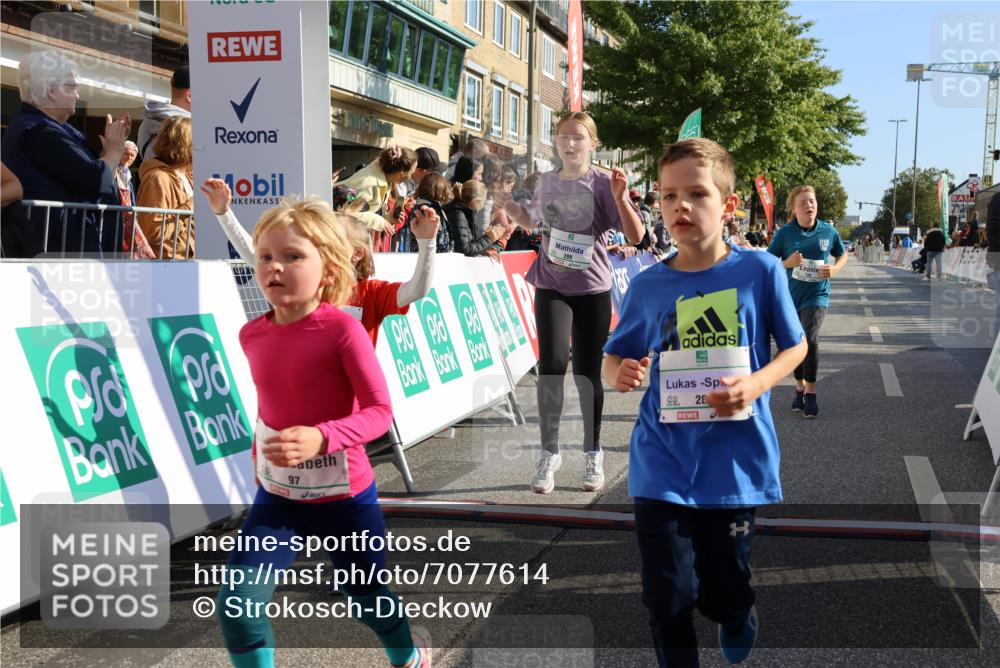 15.09.2024 - PSD Bank Halbmarathon Strokosch-Dieckow http://msf.ph/oto/7077614 15.09.2024 10:30:23 Ziel 32, 97, 127, 129, 156, 218, 252, 264, 281, 289, 306 meine-sportfotos.de