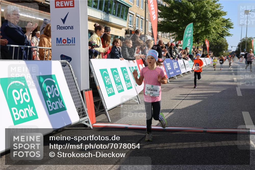 15.09.2024 - PSD Bank Halbmarathon Strokosch-Dieckow http://msf.ph/oto/7078054 15.09.2024 10:31:01 Ziel 44, 145, 147, 214, 234 meine-sportfotos.de