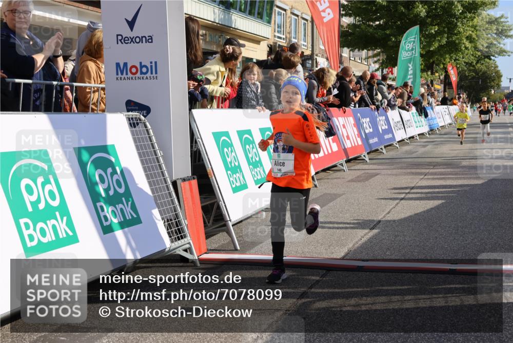 15.09.2024 - PSD Bank Halbmarathon Strokosch-Dieckow http://msf.ph/oto/7078099 15.09.2024 10:31:03 Ziel 38, 44, 145, 147, 214, 234 meine-sportfotos.de