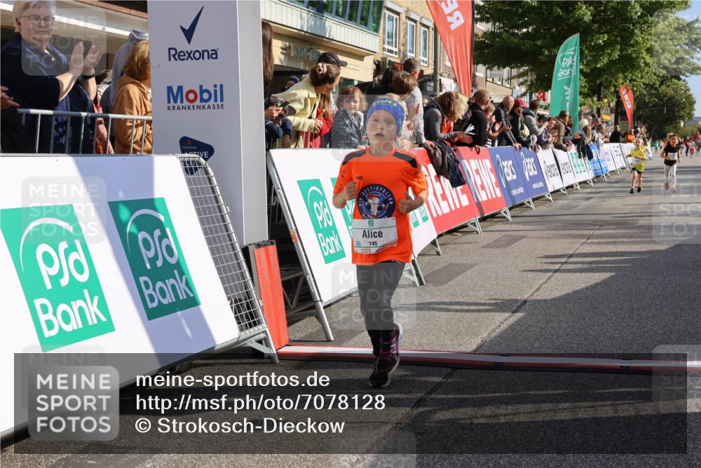 15.09.2024 - PSD Bank Halbmarathon Strokosch-Dieckow http://msf.ph/oto/7078128 15.09.2024 10:31:03 Ziel 38, 44, 145, 147, 214, 234 meine-sportfotos.de