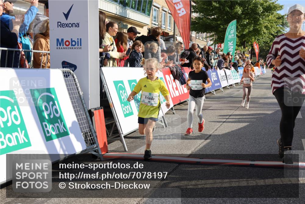 15.09.2024 - PSD Bank Halbmarathon Strokosch-Dieckow http://msf.ph/oto/7078197 15.09.2024 10:31:08 Ziel 38, 44, 141, 145, 147, 207, 214, 234 meine-sportfotos.de