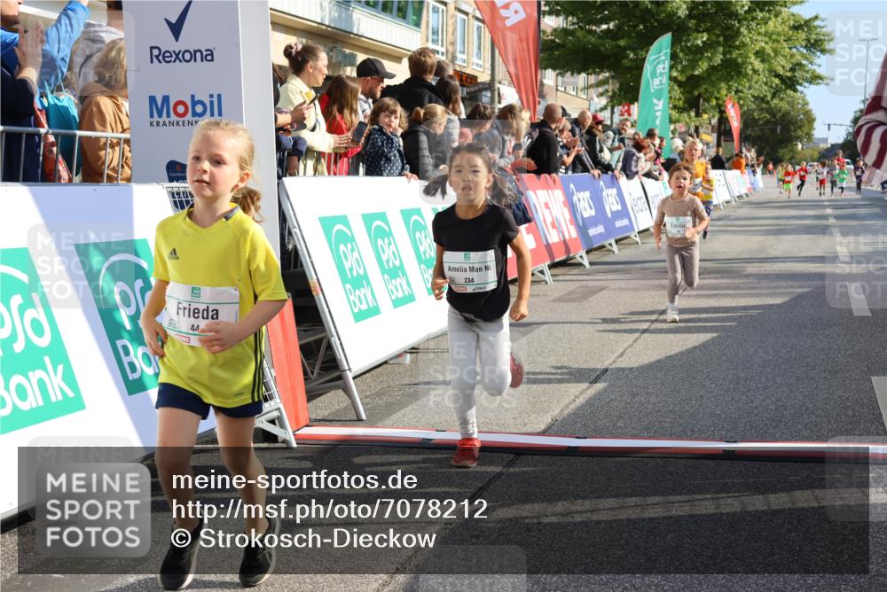 15.09.2024 - PSD Bank Halbmarathon Strokosch-Dieckow http://msf.ph/oto/7078212 15.09.2024 10:31:09 Ziel 38, 44, 141, 145, 147, 207, 214, 234 meine-sportfotos.de