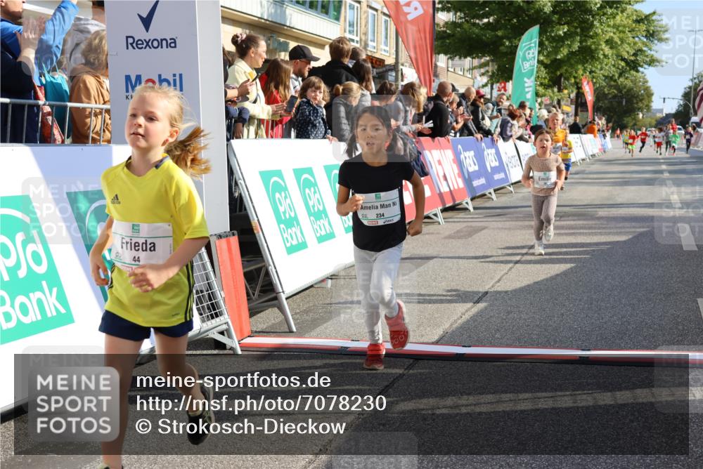15.09.2024 - PSD Bank Halbmarathon Strokosch-Dieckow http://msf.ph/oto/7078230 15.09.2024 10:31:09 Ziel 38, 44, 141, 145, 147, 207, 214, 234 meine-sportfotos.de