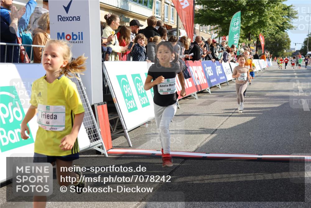 15.09.2024 - PSD Bank Halbmarathon Strokosch-Dieckow http://msf.ph/oto/7078242 15.09.2024 10:31:09 Ziel 38, 44, 141, 145, 147, 207, 214, 234 meine-sportfotos.de