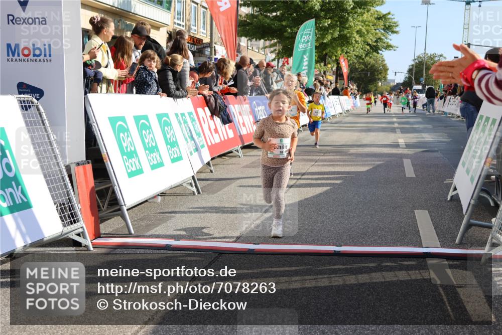 15.09.2024 - PSD Bank Halbmarathon Strokosch-Dieckow http://msf.ph/oto/7078263 15.09.2024 10:31:11 Ziel 38, 44, 104, 141, 145, 147, 207, 214, 234 meine-sportfotos.de