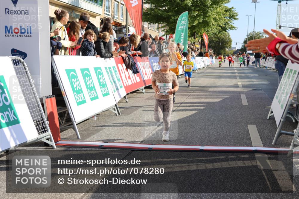 15.09.2024 - PSD Bank Halbmarathon Strokosch-Dieckow http://msf.ph/oto/7078280 15.09.2024 10:31:11 Ziel 38, 44, 104, 141, 145, 147, 207, 214, 234 meine-sportfotos.de