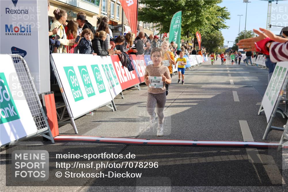 15.09.2024 - PSD Bank Halbmarathon Strokosch-Dieckow http://msf.ph/oto/7078296 15.09.2024 10:31:11 Ziel 38, 44, 104, 141, 145, 147, 207, 214, 234 meine-sportfotos.de