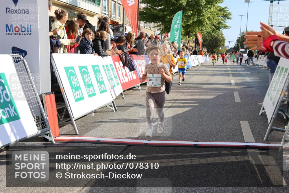 15.09.2024 - PSD Bank Halbmarathon Strokosch-Dieckow http://msf.ph/oto/7078310 15.09.2024 10:31:11 Ziel 38, 44, 104, 141, 145, 147, 207, 214, 234 meine-sportfotos.de