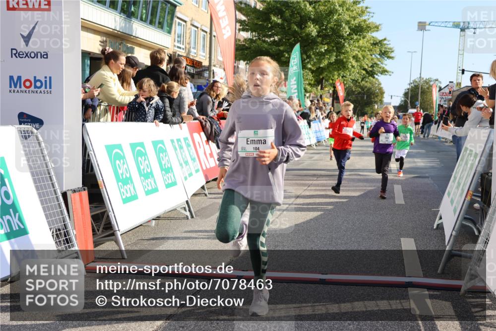 15.09.2024 - PSD Bank Halbmarathon Strokosch-Dieckow http://msf.ph/oto/7078463 15.09.2024 10:31:19 Ziel 24, 25, 38, 44, 104, 105, 126, 141, 207, 234, 277, 287 meine-sportfotos.de