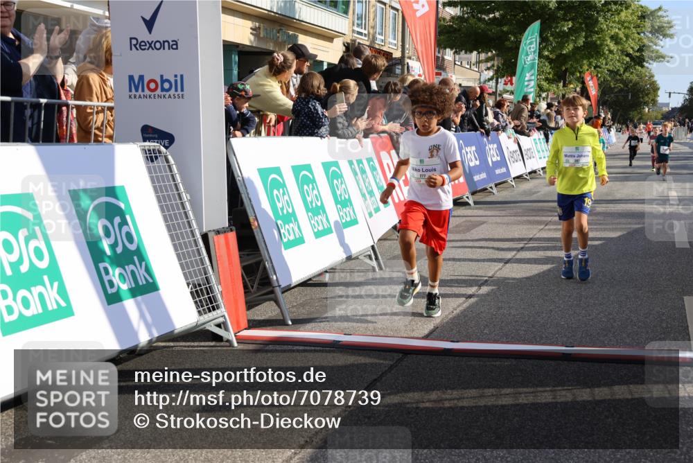 15.09.2024 - PSD Bank Halbmarathon Strokosch-Dieckow http://msf.ph/oto/7078739 15.09.2024 10:31:26 Ziel 24, 25, 39, 72, 104, 105, 126, 141, 160, 163, 191, 277, 287 meine-sportfotos.de