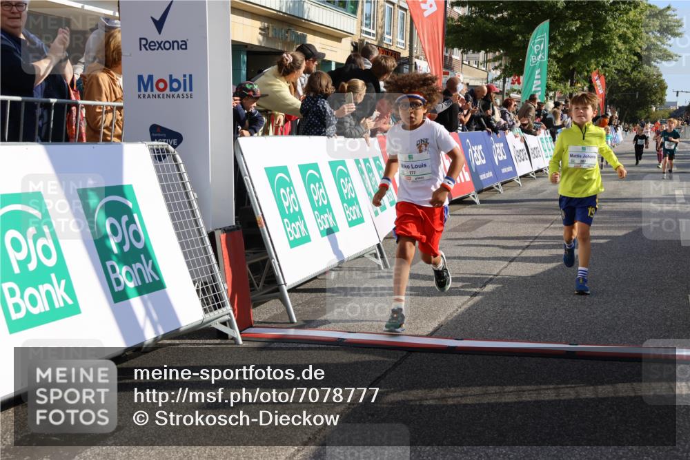 15.09.2024 - PSD Bank Halbmarathon Strokosch-Dieckow http://msf.ph/oto/7078777 15.09.2024 10:31:26 Ziel 24, 25, 39, 72, 104, 105, 126, 141, 160, 163, 191, 277, 287 meine-sportfotos.de