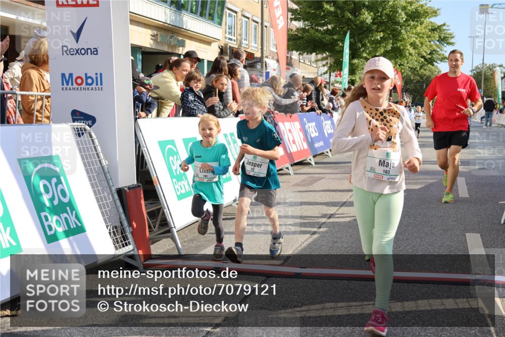 15.09.2024 - PSD Bank Halbmarathon Strokosch-Dieckow http://msf.ph/oto/7079121 15.09.2024 10:31:33 Ziel 25, 39, 72, 78, 126, 158, 160, 163, 191, 277, 287 meine-sportfotos.de