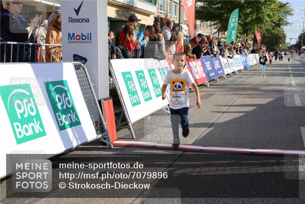 15.09.2024 - PSD Bank Halbmarathon Strokosch-Dieckow http://msf.ph/oto/7079896 15.09.2024 10:31:51 Ziel 78, 158, 175, 201, 250 meine-sportfotos.de