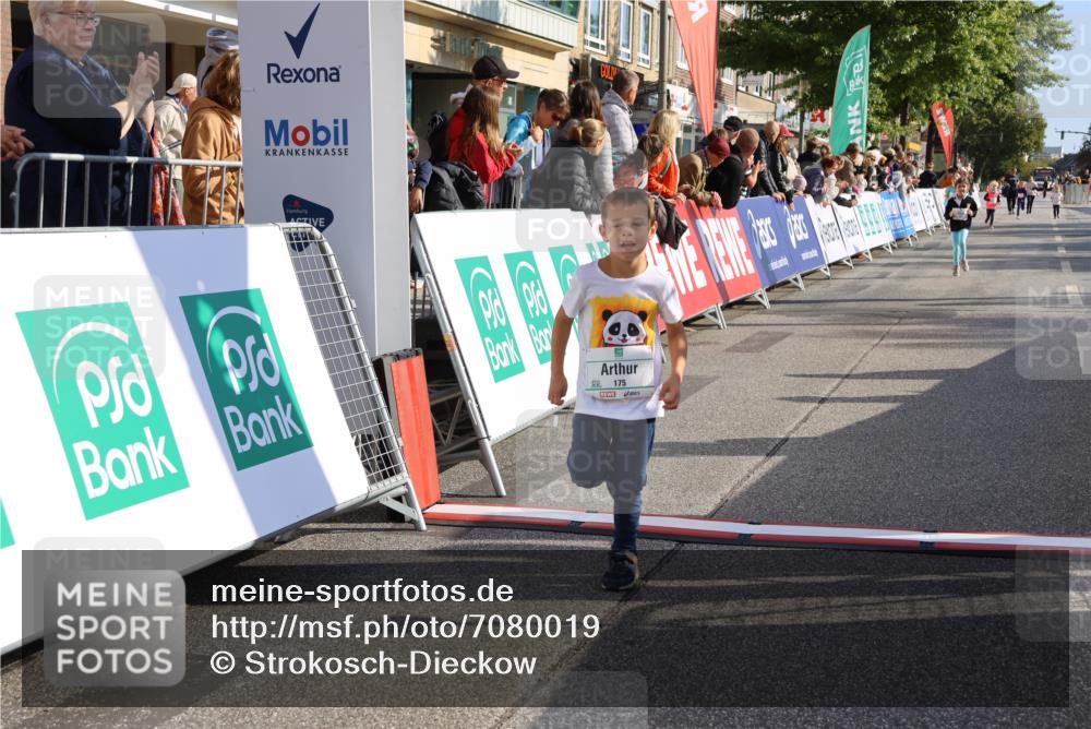 15.09.2024 - PSD Bank Halbmarathon Strokosch-Dieckow http://msf.ph/oto/7080019 15.09.2024 10:31:52 Ziel 78, 175, 201, 250 meine-sportfotos.de