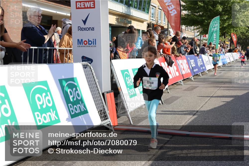 15.09.2024 - PSD Bank Halbmarathon Strokosch-Dieckow http://msf.ph/oto/7080079 15.09.2024 10:31:58 Ziel 175, 201, 223, 250 meine-sportfotos.de