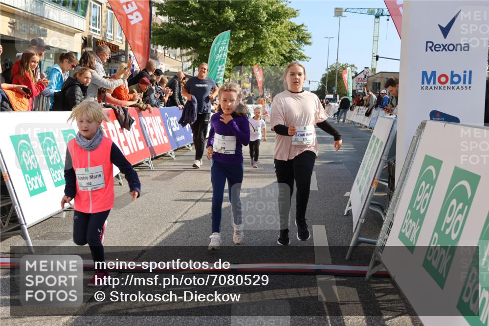15.09.2024 - PSD Bank Halbmarathon Strokosch-Dieckow http://msf.ph/oto/7080529 15.09.2024 10:32:09 Ziel 11, 56, 57, 151, 202, 223, 250, 267, 276, 299 meine-sportfotos.de