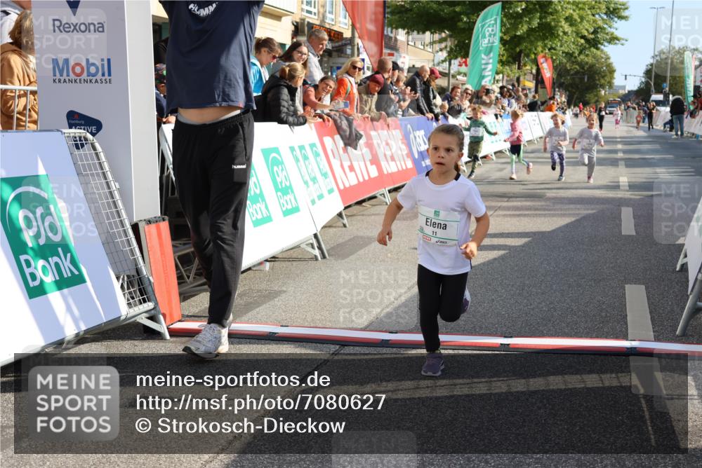 15.09.2024 - PSD Bank Halbmarathon Strokosch-Dieckow http://msf.ph/oto/7080627 15.09.2024 10:32:12 Ziel 11, 56, 57, 151, 202, 223, 267, 276, 299 meine-sportfotos.de
