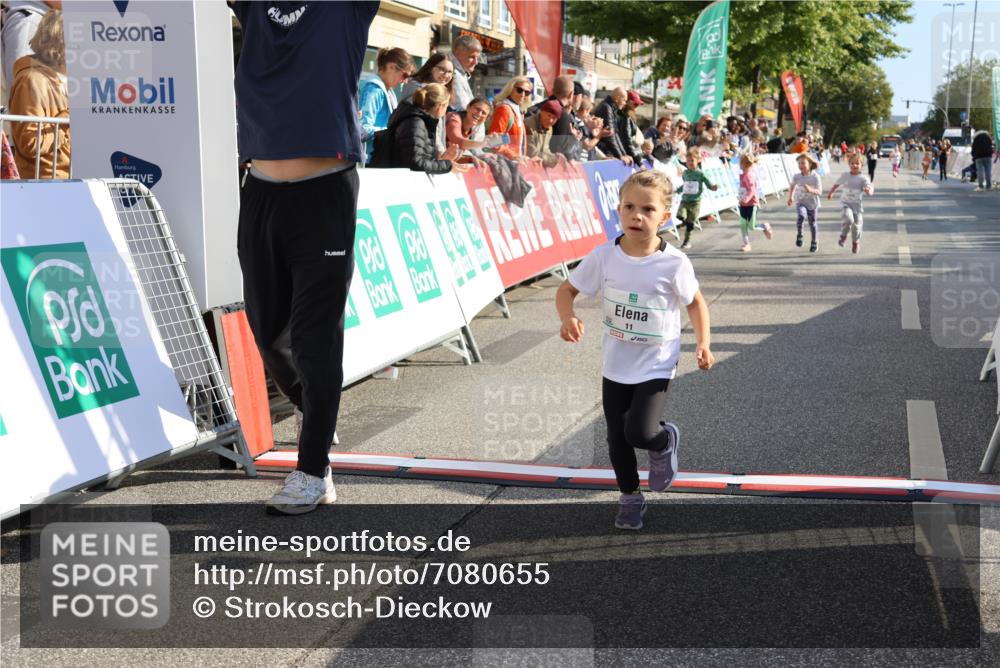 15.09.2024 - PSD Bank Halbmarathon Strokosch-Dieckow http://msf.ph/oto/7080655 15.09.2024 10:32:12 Ziel 11, 56, 57, 151, 202, 223, 267, 276, 299 meine-sportfotos.de