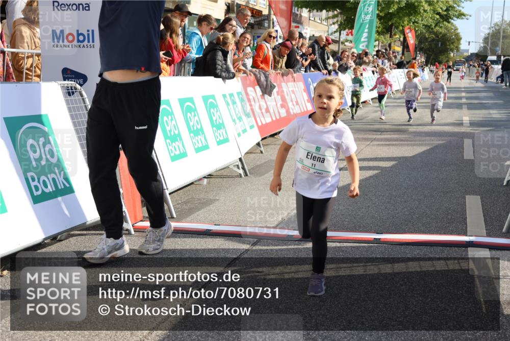 15.09.2024 - PSD Bank Halbmarathon Strokosch-Dieckow http://msf.ph/oto/7080731 15.09.2024 10:32:12 Ziel 11, 56, 57, 151, 202, 223, 267, 276, 299 meine-sportfotos.de