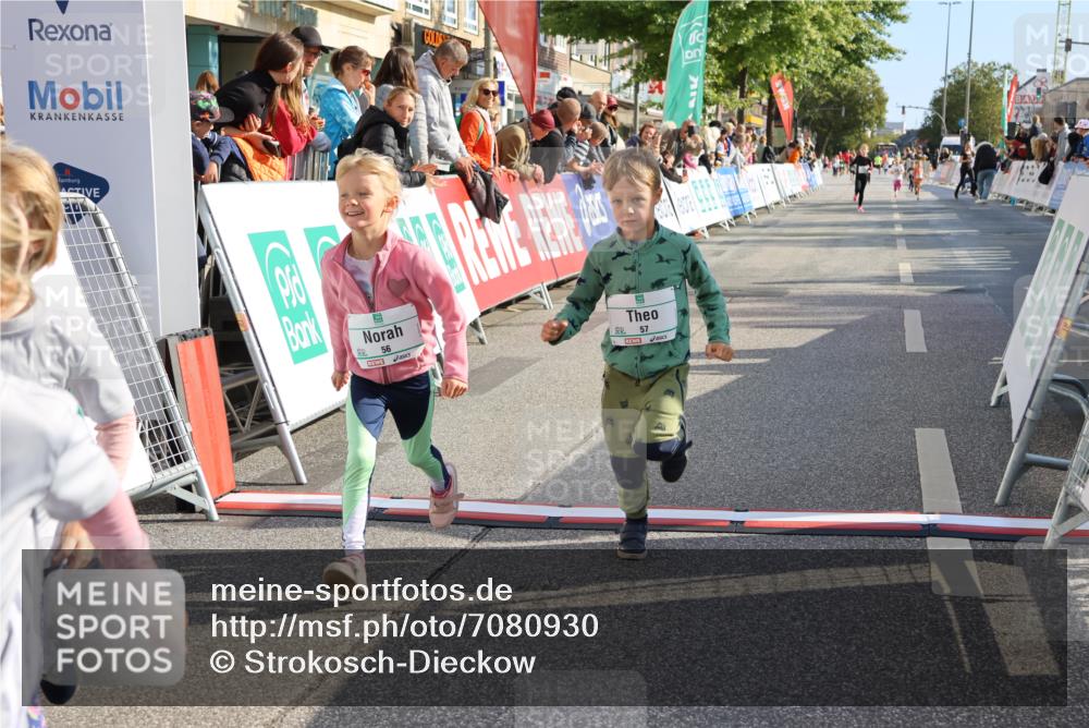 15.09.2024 - PSD Bank Halbmarathon Strokosch-Dieckow http://msf.ph/oto/7080930 15.09.2024 10:32:17 Ziel 11, 56, 57, 151, 202, 267, 276, 299 meine-sportfotos.de