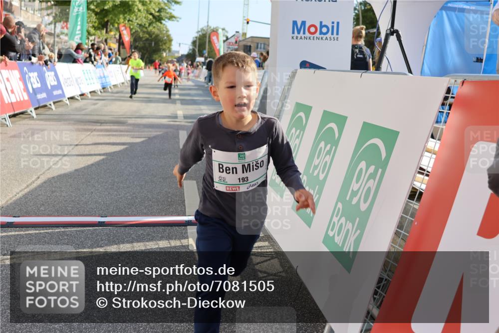 15.09.2024 - PSD Bank Halbmarathon Strokosch-Dieckow http://msf.ph/oto/7081505 15.09.2024 10:32:36 Ziel 40, 148, 157, 193, 199, 280, 301 meine-sportfotos.de