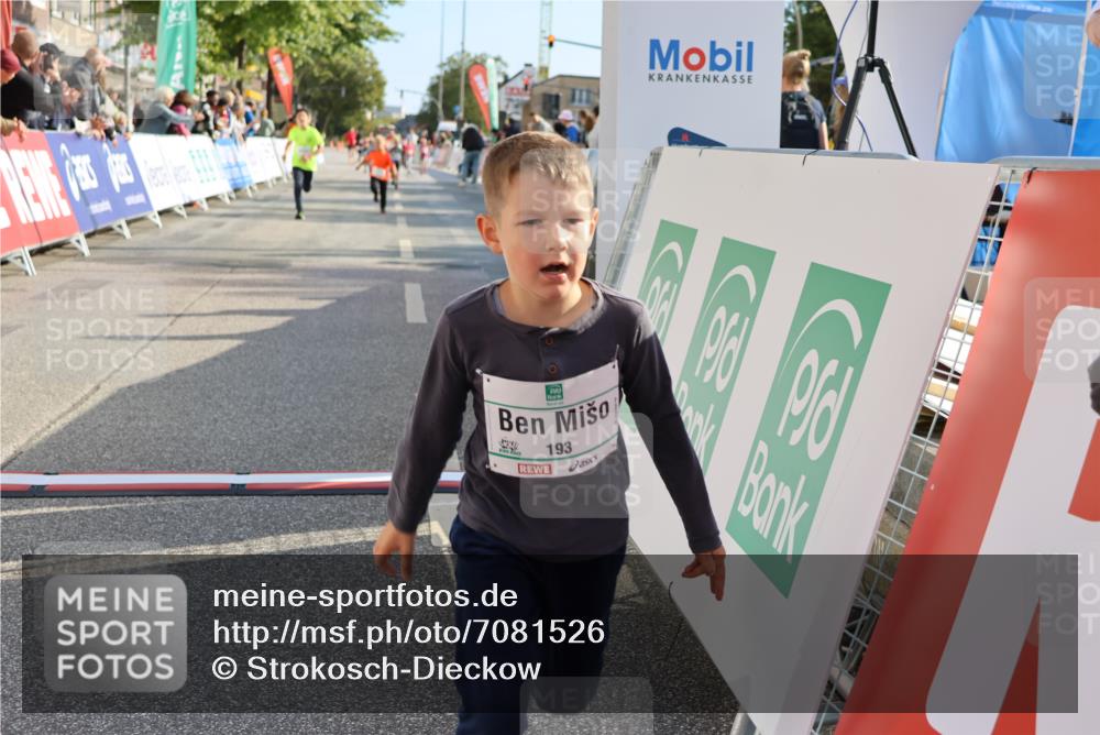 15.09.2024 - PSD Bank Halbmarathon Strokosch-Dieckow http://msf.ph/oto/7081526 15.09.2024 10:32:36 Ziel 40, 148, 157, 193, 199, 280, 301 meine-sportfotos.de