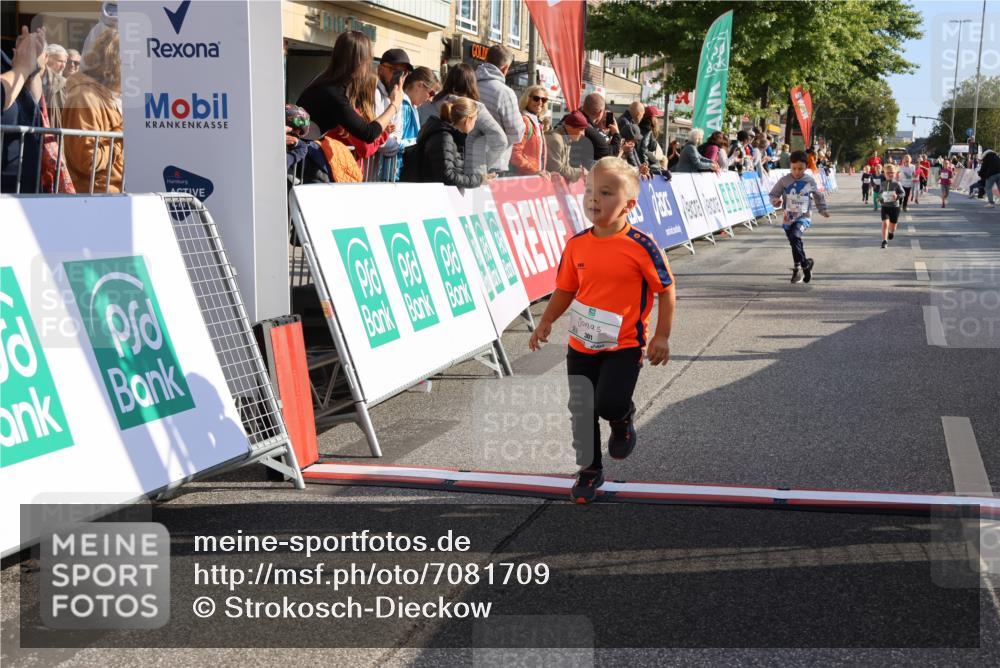 15.09.2024 - PSD Bank Halbmarathon Strokosch-Dieckow http://msf.ph/oto/7081709 15.09.2024 10:32:42 Ziel 40, 68, 148, 157, 193, 280, 301 meine-sportfotos.de