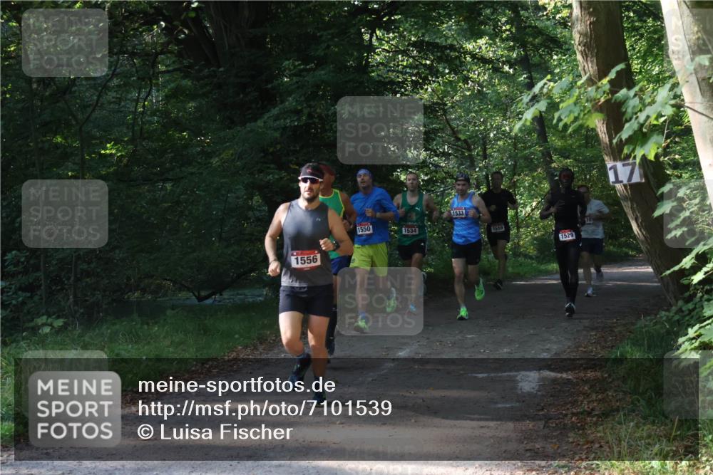 22.09.2024 - 32. Volkslauf durch das schöne Alstertal Luisa Fischer http://msf.ph/oto/7101539 22.09.2024 10:19:40 Laufen 1556, 1550, 1534, 1533, 1559, 1529, 70, 17 meine-sportfotos.de